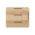 Modern Wooden Nightstand with Sliding Door and Drawers
